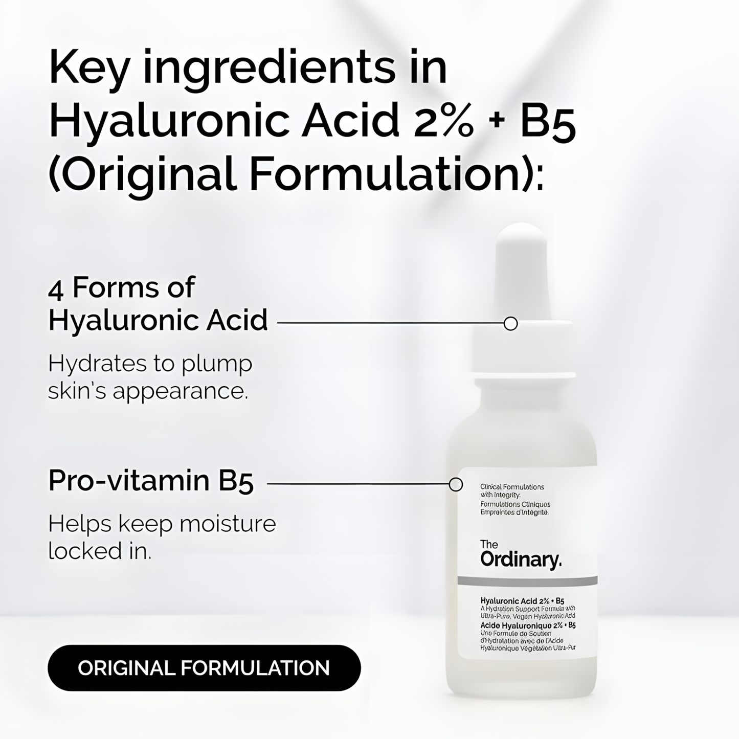 Hyaluronic Acid 2% + B5 (Original Formulation)